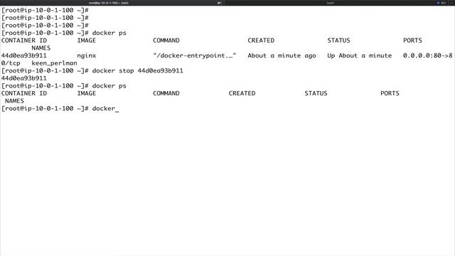 Docker|Run container in detach mode|Start and Stop container| Inspect Container|Fetch Container Log смотреть онлайн
