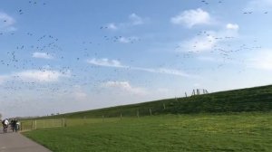 Поездка в немецкую деревню