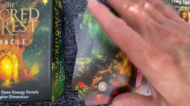 The Sacred Forest Oracle by Denise Linn | Unboxing #oraclecards #oracle #unboxing #energy #sacred смотреть онлайн