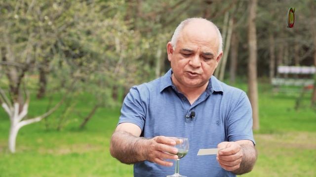 Лучший способ определить кислотность почвы. Как узнать кислотность земли.