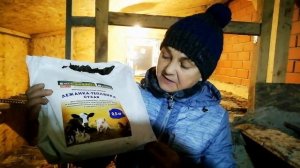 Лучшая подстилка для кур! Насыпал и забыл на 2 года! Лежанка-теплянка