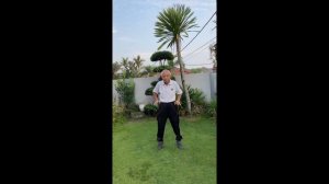 Shaolin Qigong - Part 1  少林气功内劲一指禅 功法