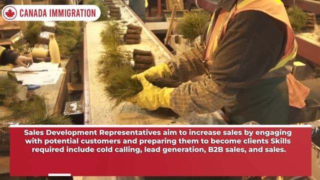 Work in Canada : TOP 20 Jobs in Canada in 2023 With Skills Skills Required  Top Hiring  IRCC