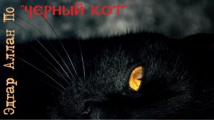 «Черный кот» Эдгар Аллан По/Психологический триллер/Аудиорассказ