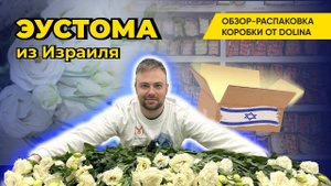 ЭУСТОМА ИЗ ИЗРАИЛЯ | Обзор-распаковка коробки эустомы от Dolina
