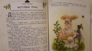 Истории сказочного леса. Лесные малыши. Колпак кольчатыйНастоящий принц.