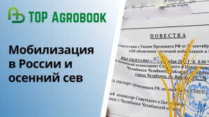 Мобилизация в России и осенний сев: сельское хозяйство рискует остаться без кадров. TOP Agrobook