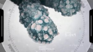 Просто и доступно об Омоложении Что делать Теломеры, теломераза, ДНК, хромосомы