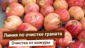 Промышленное оборудование для очистки граната от кожуры и перегородок