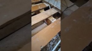 Ремонт деревянного пола в сталинке