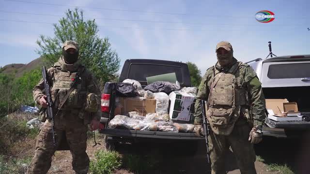 Суровые коты донбасса горловка