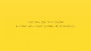 Контролируй свой трафик в мобильном приложении «Мой Beeline»