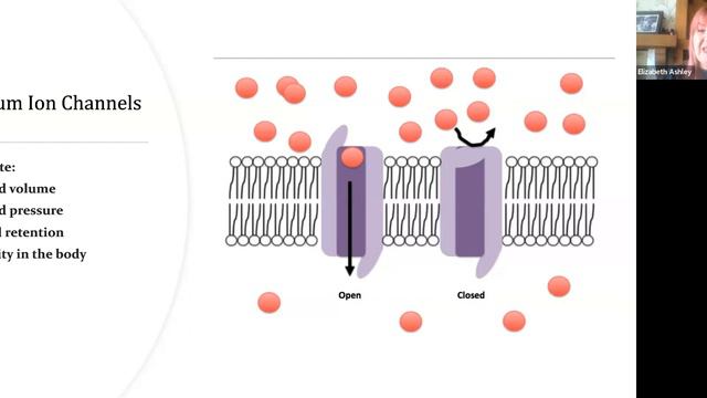 Essential Oils Inhalation смотреть онлайн