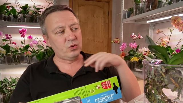 ПРЕВИКУР для ОРХИДЕЙ - лучшее средство для уцененных и слабых орхидей как фунгицид и стимулятор