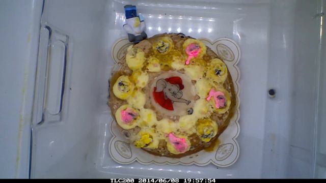 Benjamin the Elephant Cake - Zeitraffer - Reggae Version смотреть онлайн