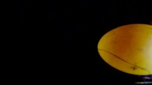 Овоскопирование индоутиных яиц на 3-4 день!?Какой результат?!