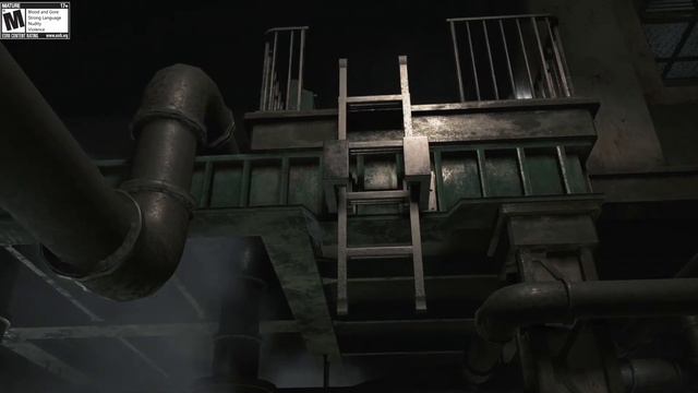 Resident Evil 2 | Claire Redfield | Black Belts Outfit