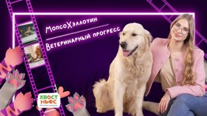 Лечащий кот, костюмированные мопсы, отечественные ветпрепараты и другие новости «Хвост Ньюс» #91