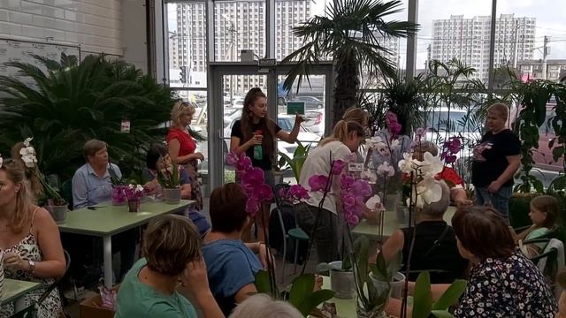 БЕСПЛАТНО ОРХИДЕИ ВСЕМ❗ участникам МАСТЕР-КЛАСС в Планета ЛЕТА ? КРАСНОДАР смотреть онлайн