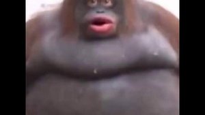 O o Stinky meme TikTok monkey || стинки обезьяна с тикток мем о о стинки