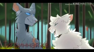 Коты воители клип "look what you made me do" Веснянка и Быстролап