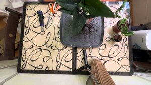 Распаковка посылки с растениями!