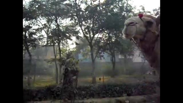 Индия.Агра.На подступах к Тадж Махалу. смотреть онлайн