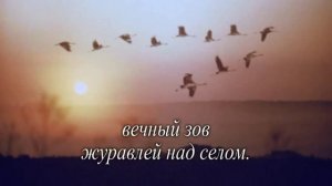 Максим Трошин журавли