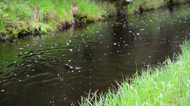 Pike VS Vision Keeper #3, 7,6 смотреть онлайн