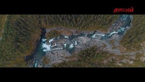 Большая двадцатка. Хемседал.