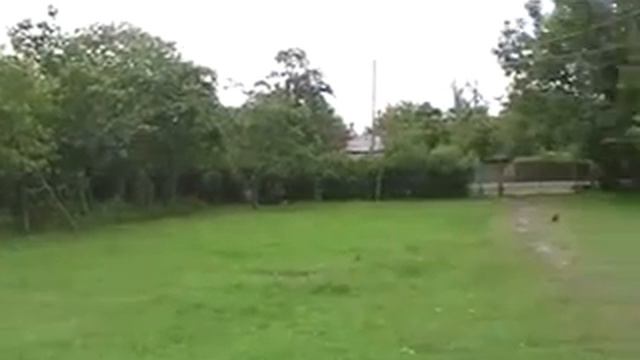 музыка родного края смотреть онлайн