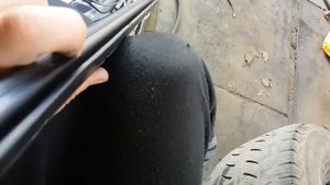 Бархотки lancer x