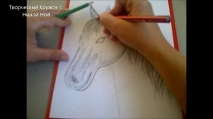 Как нарисовать голову лошади (коня, пони, единорога, пегаса). Уроки рисования для начинающих