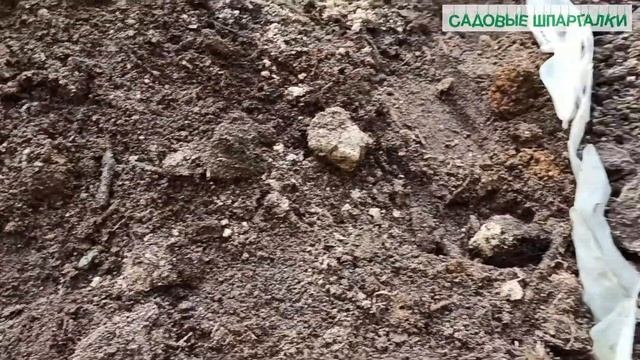 Плодородная земля: готовим сами