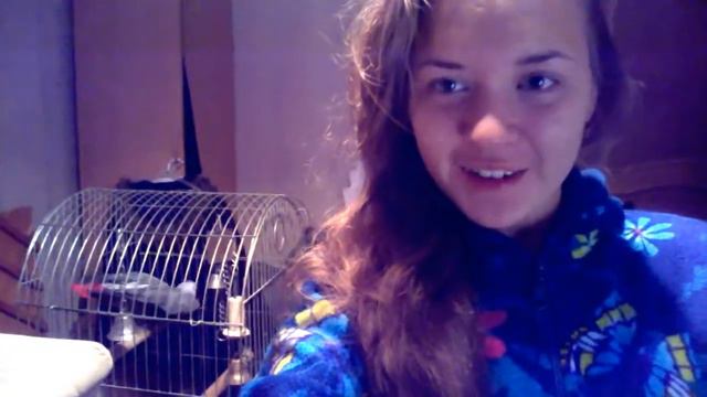 Я и мой жако смотреть онлайн