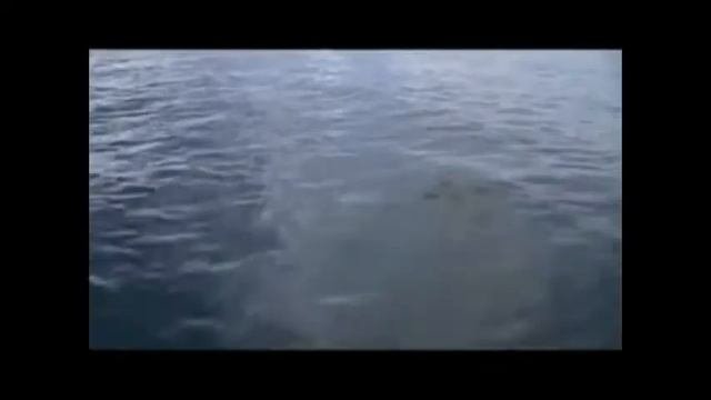 Самоа
