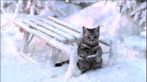 Новогодняя реклама "Whiskas" (2017-2018).