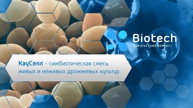 "Кауселл" - кормовая добавка для улучшения пищеварения