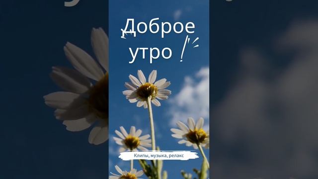 Доброе утро! Музыкальная открытка