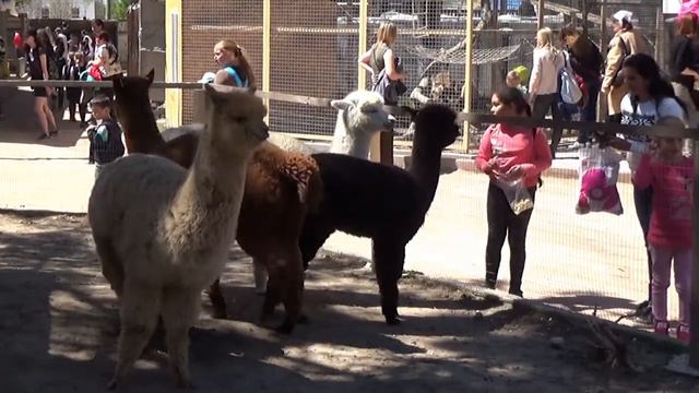 2017.04.28 Парк миниатюр Бахчисарай Крым Россия смотреть онлайн