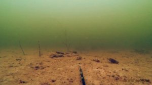 ВОТ ЭТО АТАКА ЩУКИ НА КАРАСЯ!!! Рыбалка зимой на щуку и Подводная съемка