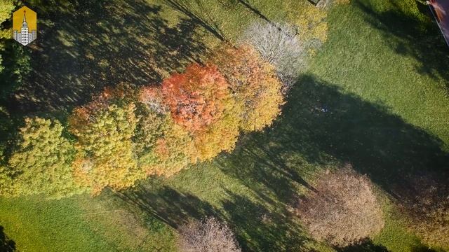 Парк 50 летия октября