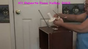 Daruma New Home Twister