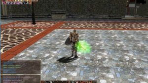 lineage 2. paladin. гайд по паладину