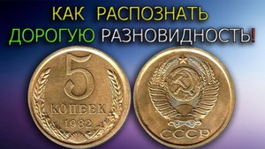 Секреты нумизмата: как отличить дорогую 5 копеек 1982 года от обычной.