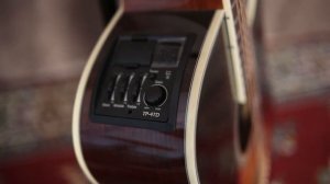 Takamine GD51CE Guitarra electro acustica Review