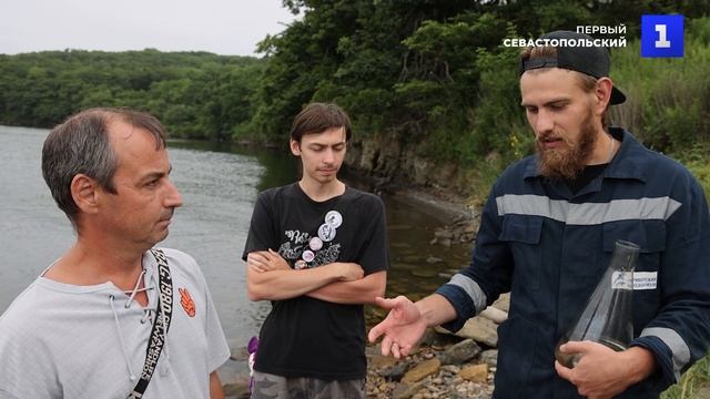 Красота и опасность: в Приморском крае появились медузы-крестовики