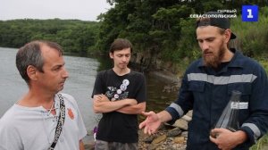 Красота и опасность: в Приморском крае появились медузы-крестовики