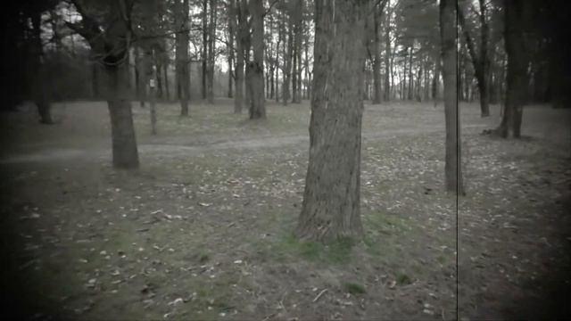 Аудио кассета как аналоговый бэкап. Live+ смотреть онлайн