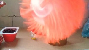 Feisty pets игрушка и светящиеся мячик